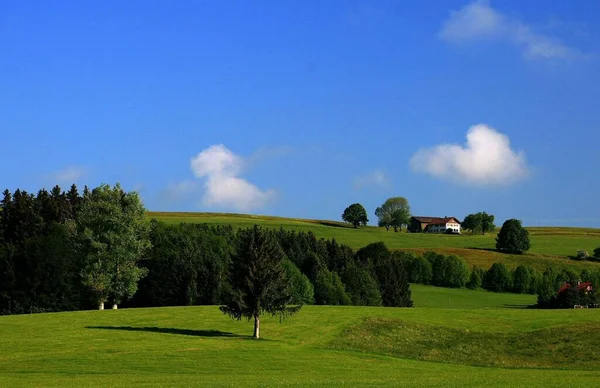 Kempten Deki Herrenwieser Weiher Yanında — Stok fotoğraf