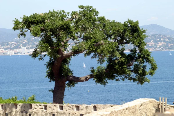 Vista Del Mar Mediterráneo Desde Fortaleza San Tropez — Foto de Stock