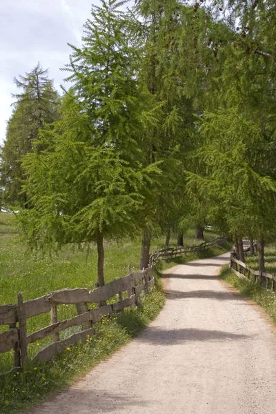 Blick Auf Südtirol Oder Südtirol Provinz Nordosten Italiens — Stockfoto