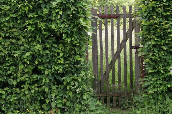 Usertreffen Kassel — Stock Photo, Image