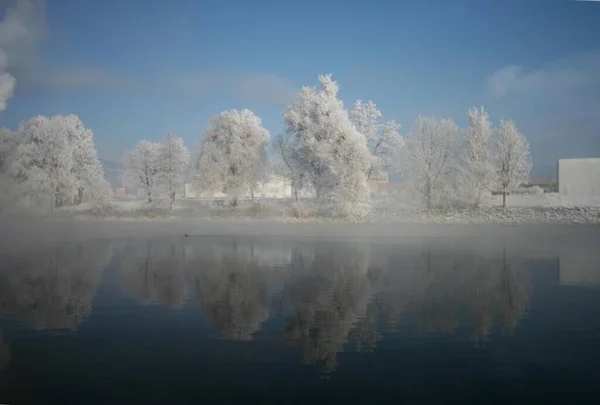 Belle Vue Nature Scène — Photo