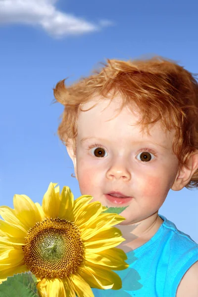 Portrait Cute Baby — Stock Photo, Image