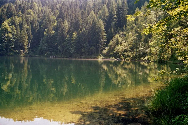 Lindo Lago Verão — Fotografia de Stock