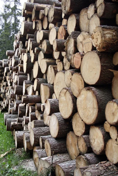 Prachtig Uitzicht Buitenwereld — Stockfoto