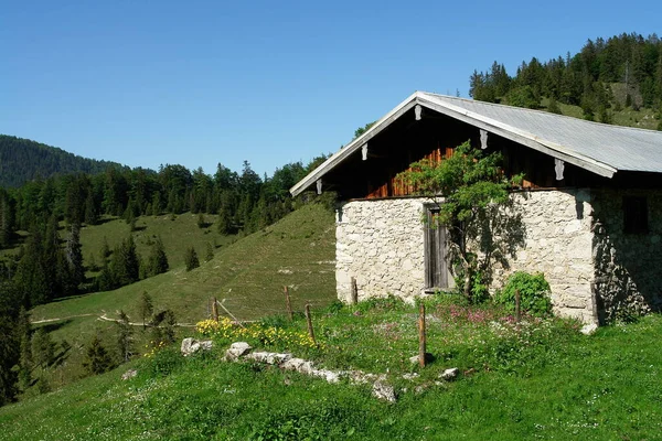 Schilderachtig Uitzicht Majestueuze Alpen Landschap — Stockfoto