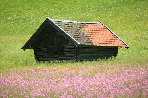 Bayern Offiziell Der Freistaat Bayern — Stockfoto