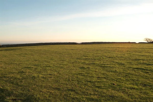 View Meadow Lands — стоковое фото