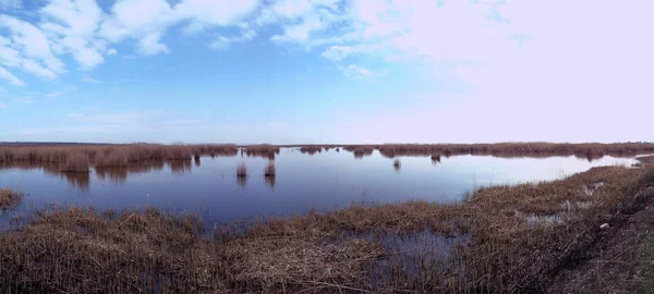 Lago Paisagem Com Grama — Fotografia de Stock