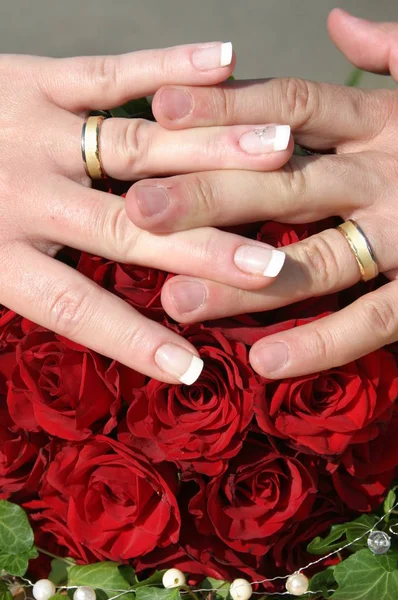 Visão Panorâmica Conceito Casamento — Fotografia de Stock