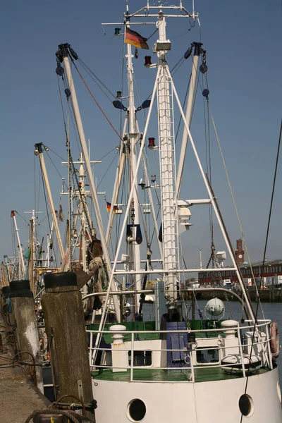 Krabbsax Den Gamla Fiskehamnen Cuxhaven Nordsjön — Stockfoto
