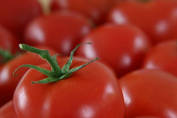 Fresh Red Ripe Tomatoes — Stock Photo, Image