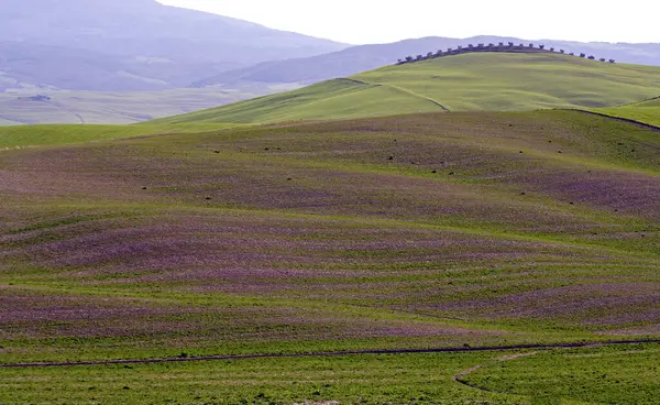 Regione Toscana Italia Centrale — Foto Stock