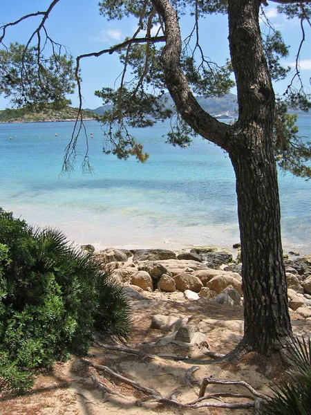 Schöne Tropische Strandlandschaft — Stockfoto