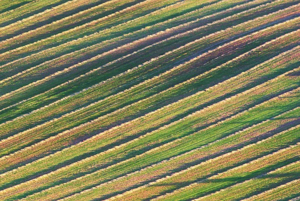 Vista Pittoresca Della Scena Della Natura — Foto Stock