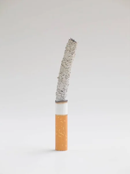 Une Cigarette Est Tabac Typique — Photo