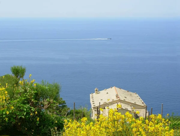 Casa Campo Entre Levanto Cinque Terre Cenário Lindo — Fotografia de Stock