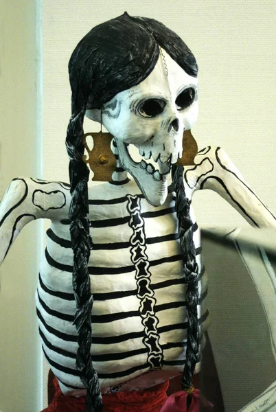 Menselijke Schedel Skelet — Stockfoto