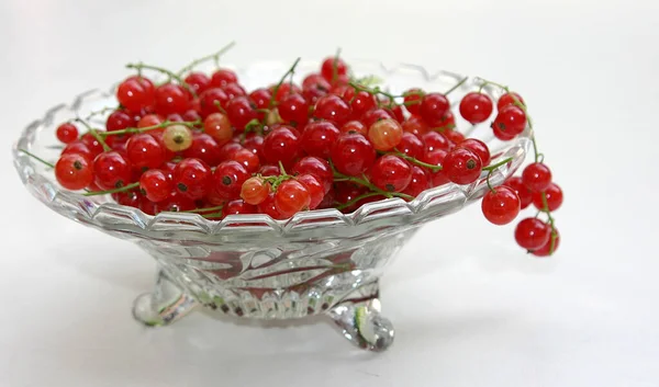 Vegetarian Food Selective Focus — Stock Photo, Image