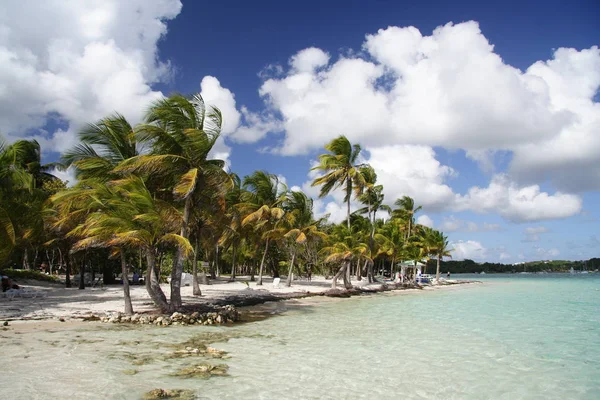 Karibiska Stranden Utsikt Dagen — Stockfoto