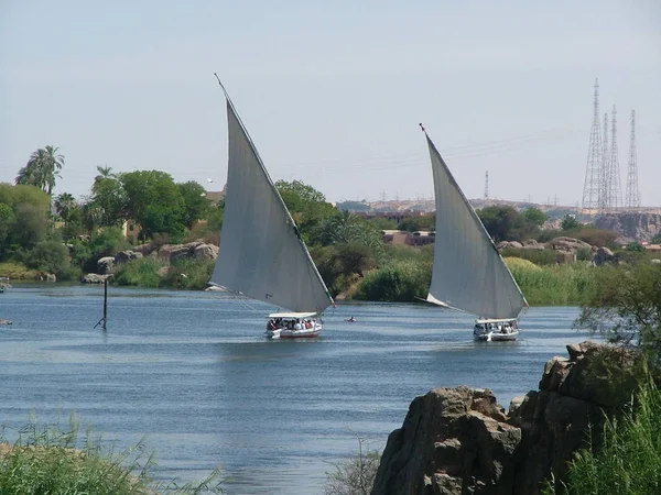 Banks Nile — Stock Photo, Image