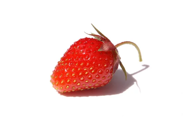 Die Erdbeere Selbst Ist Nur Eine Leuchtende Frucht Die Eigentlichen — Stockfoto