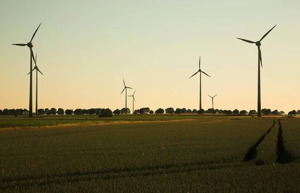 Wind Turbines Industry Renewable Energy — Stock Photo, Image