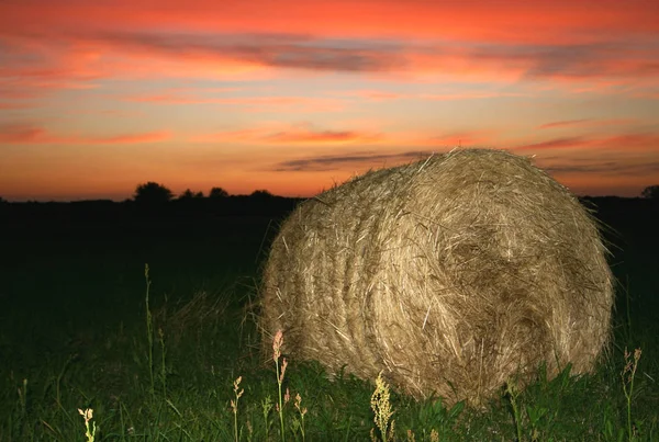 Again Hay Bale Coupled Sunset May New Here — Stock Photo, Image