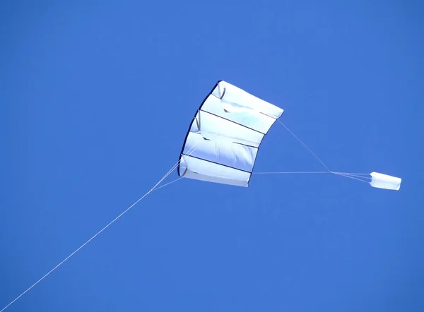 Papagaio Voando Céu — Fotografia de Stock