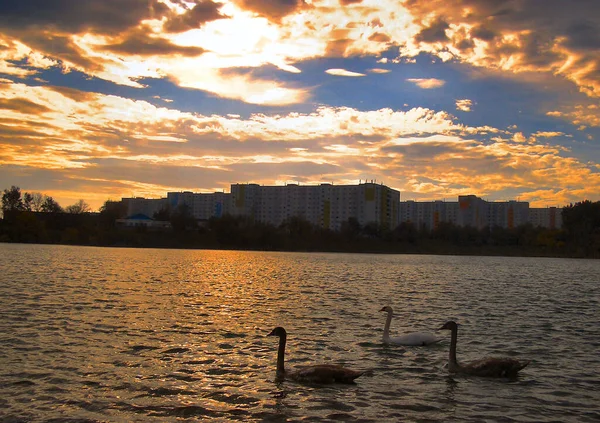 Hermosa Vista Naturaleza Escena — Foto de Stock