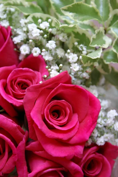 Rosas Rosadas Como Fondo Espacio Copia —  Fotos de Stock