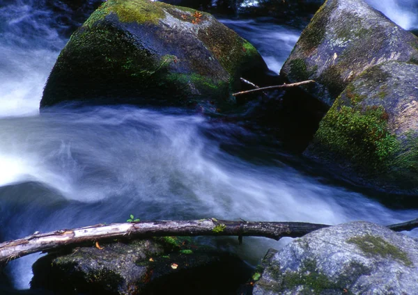 Cascade Dans Nature Écoulement Eau — Photo