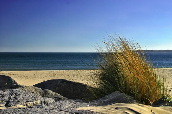 Vue Panoramique Des Dunes Mise Point Sélective — Photo