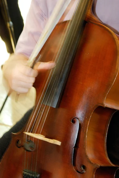 Violin Musical Instrument Close — Stock Photo, Image