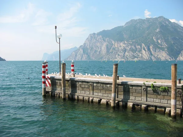 Schöner See Sommer — Stockfoto