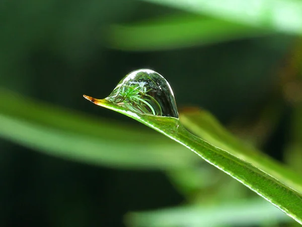 Konzeptionelles Bild Abstrakter Wassertropfen — Stockfoto