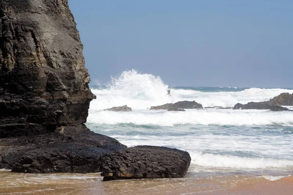 Yaz Doğası Deniz Kıyısı — Stok fotoğraf
