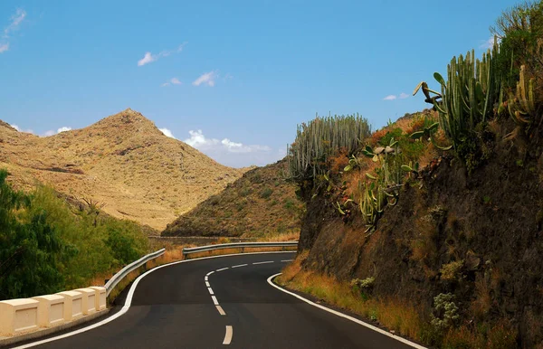 Moeten Zien Dat Alle Van Tenerife Bekend Ergens Bergen Omdat — Stockfoto