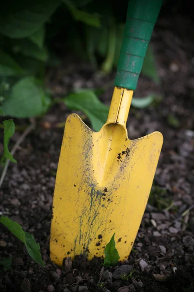 Schaufel Garten — Stockfoto