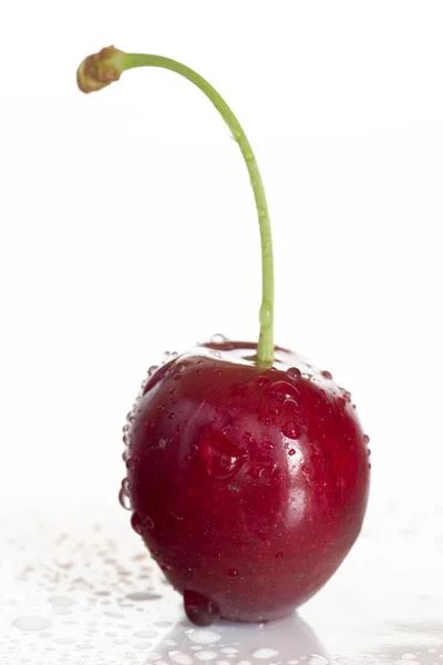 Cereza Sobre Fondo Blanco — Foto de Stock