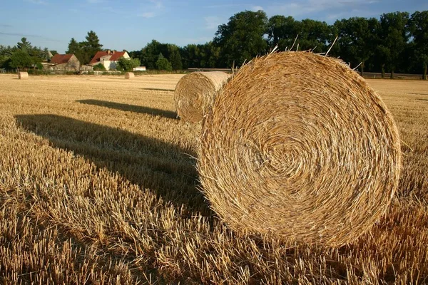 Piękny Widok Krajobraz Wiejski — Zdjęcie stockowe