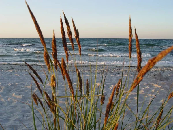 Schöne Aussicht Auf Die Küste — Stockfoto