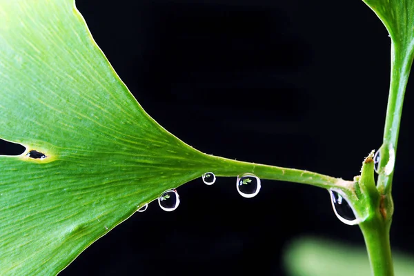 Imagem Conceitual Gotas Água Abstratas — Fotografia de Stock