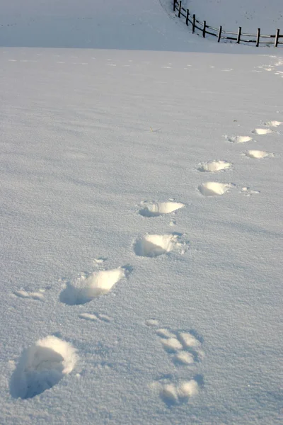 Дорожки Снегу Небольшие Колебания Градусов Плюс Тени — стоковое фото