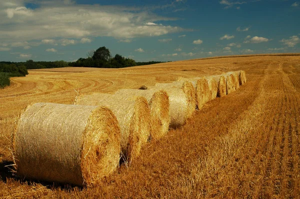 Opgesteld Volgorde — Stockfoto