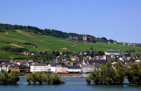 Άποψη Του Rudesheim Rhein Τους Αμπελώνες Στο Παρασκήνιο Και Αβαείο — Φωτογραφία Αρχείου