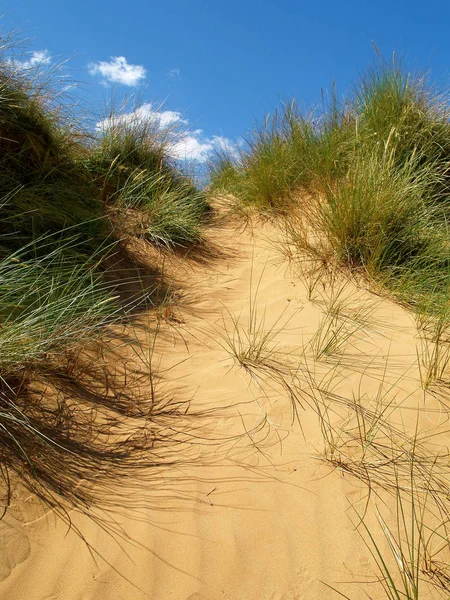 Panoramisch Uitzicht Duinen Selectieve Focus — Stockfoto