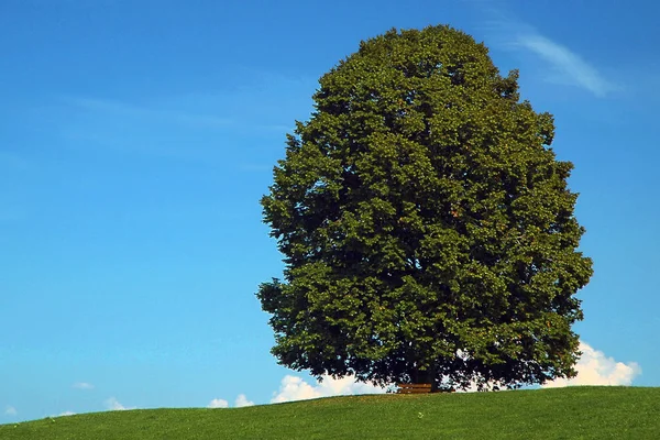 Pittoresk Utsikt Över Naturscenen — Stockfoto