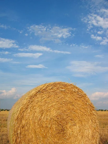 Agricoltura Raccolta Campi Balle Paglia — Foto Stock