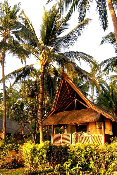 Assim Que Nós Vivemos Bali Norte — Fotografia de Stock