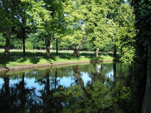 Schöne Aussicht Auf Den Park — Stockfoto